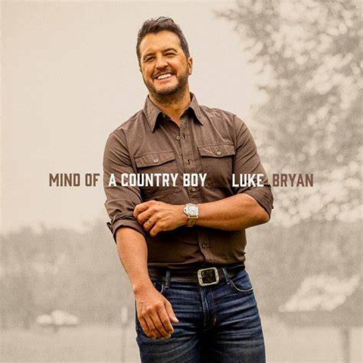 Luke Bryan on "American Idols" in 2020. | Source: Getty Images